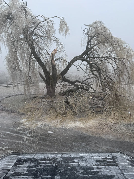 When the Ice Came Crashing Down: Finding Connection in the Chaos