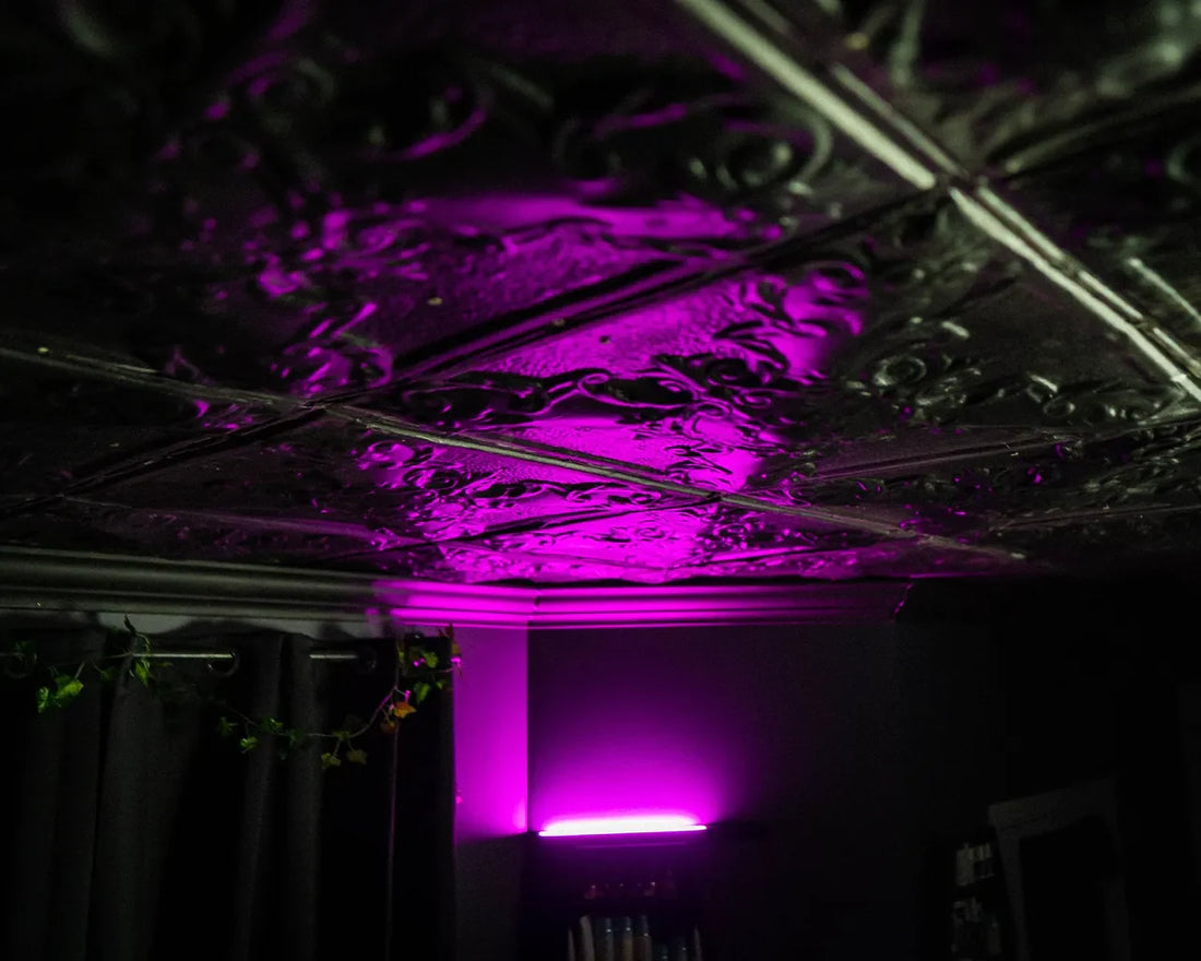 Don't Look Up, at Pampered Aesthetics