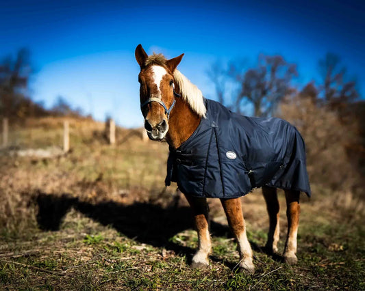 Hoofing It: The Wild Ride of Finding a Farrier for Our Gentle Giant